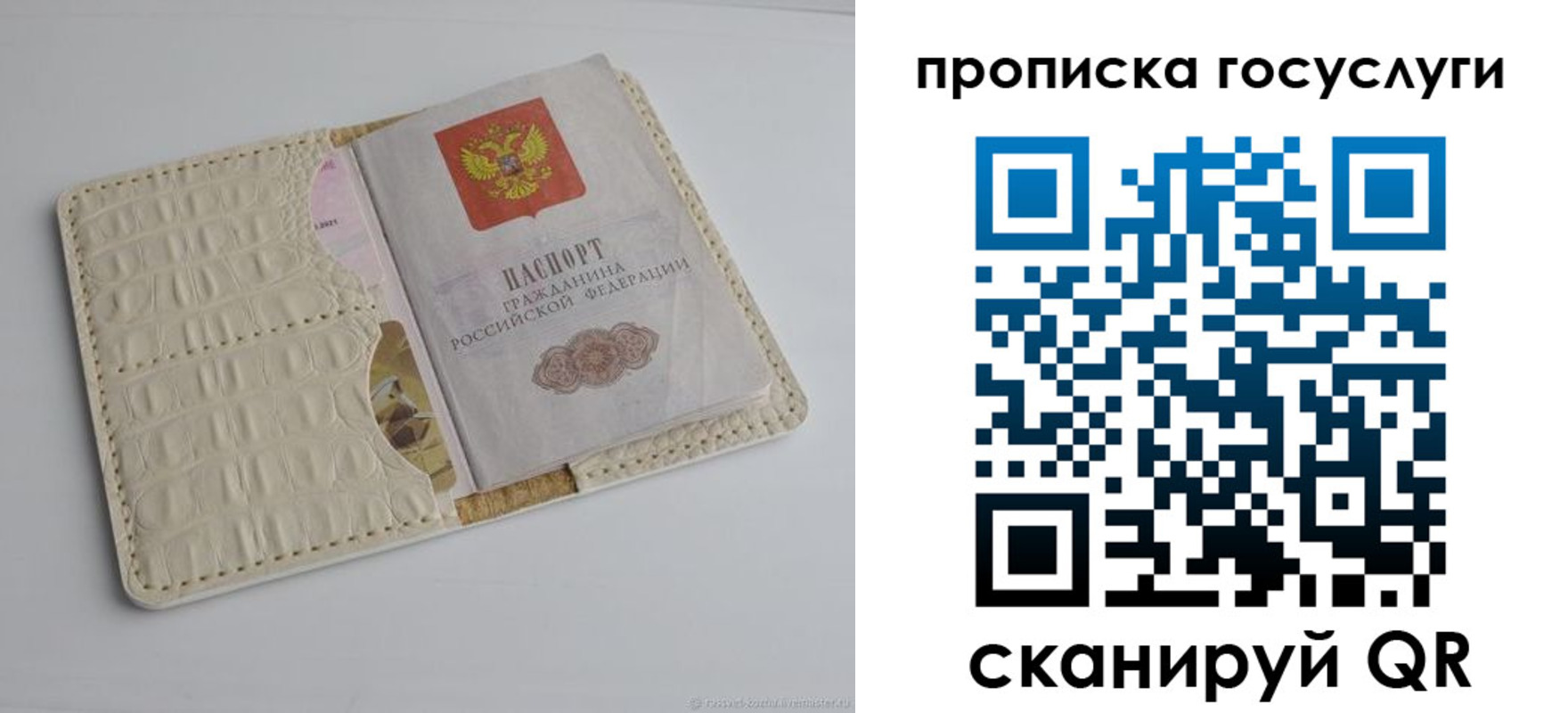 прописка в Почепе