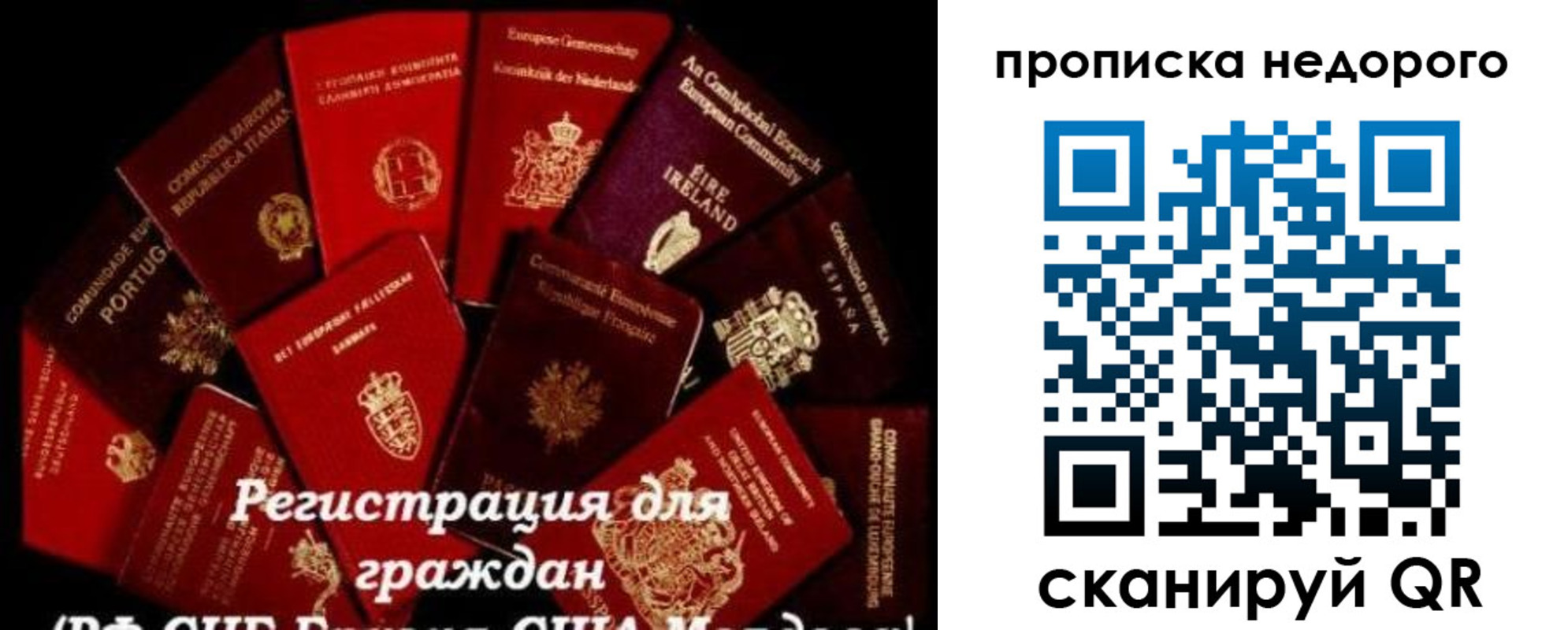 временная регистрация недорого в Почепе